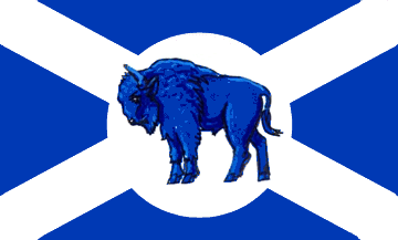 Flag of St. Andrews, Manitoba (Canada)